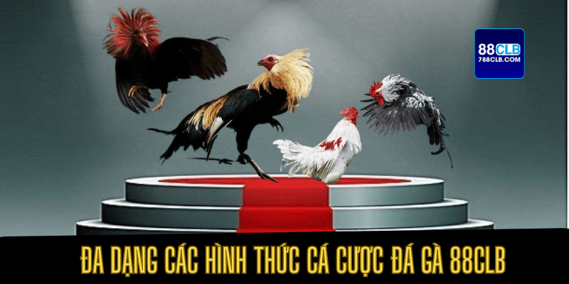 Đa dạng các hình thức cá cược tại đá gà 88CLB